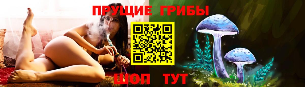 Галлюциногенные грибы мухоморы  Вход с VPN  сколько стоит  Кировск 